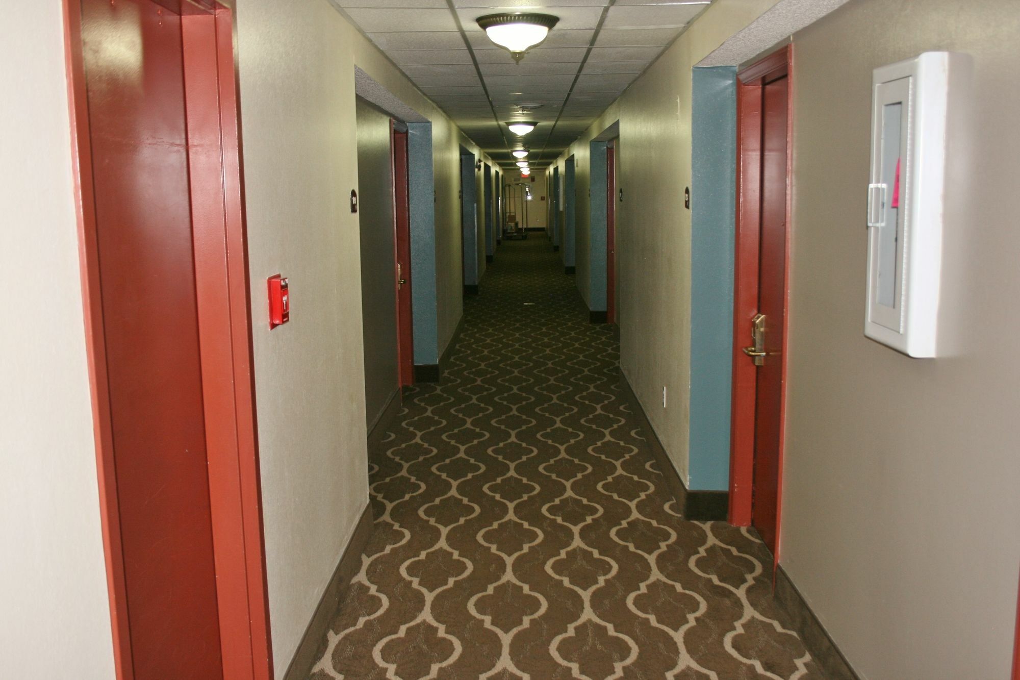 Comfort Inn Bristol Bagian luar foto